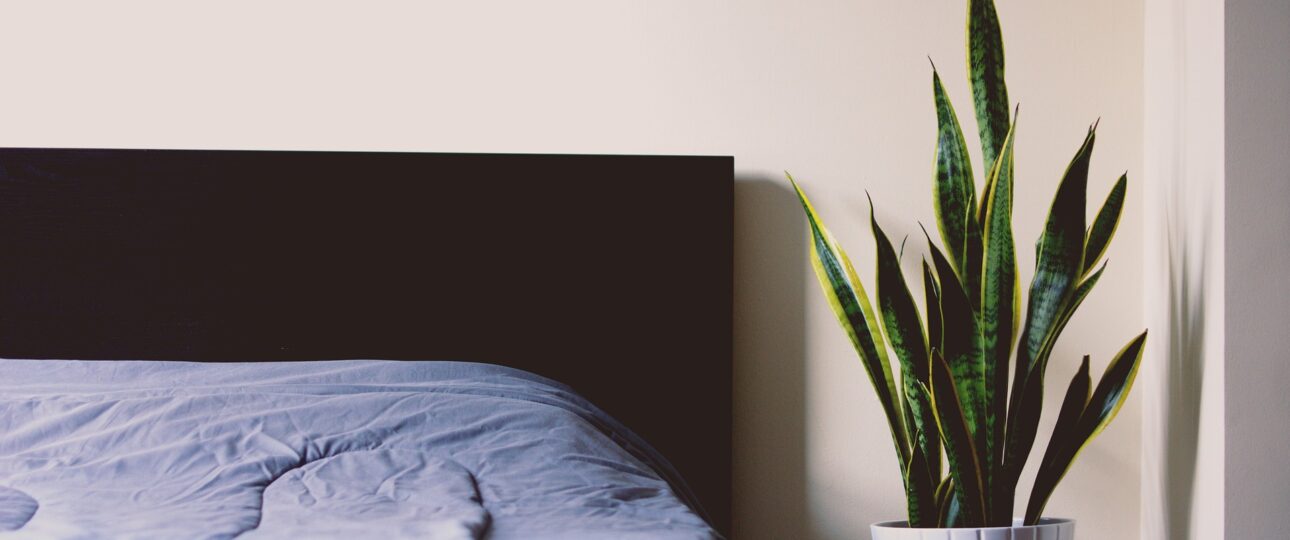 Das beste Boxspringbett